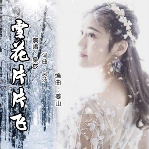 雪花片片飞 (DJ版)