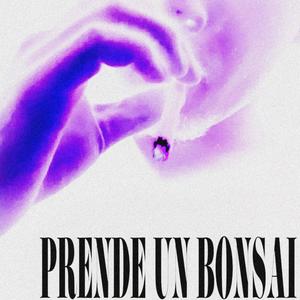 Prende un bonsai (Explicit)