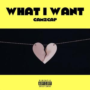 What I Want (Explicit)