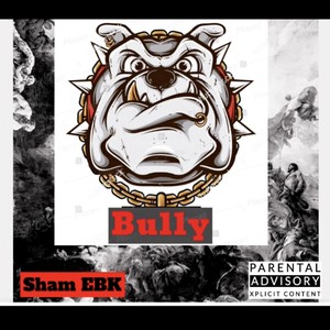 Bully (Explicit)