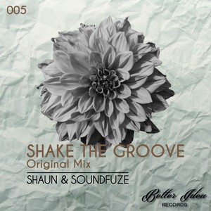 Shake The Groove