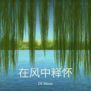 在风中释怀（DJ顶级旋律）
