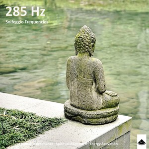 285 Hz Tranquil Reverie - Journey into Sublime Stillness