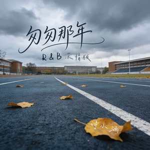 匆匆那年 (R&B深情版)封面