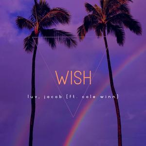 wish(feat. Cole Winn) (Explicit)