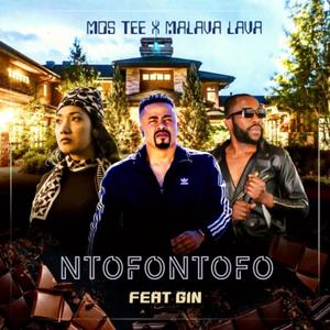 Ntofontofo (feat. Mos Tee, Malava Lava) (Radio Edit)