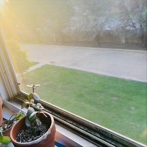 Everybody’s Gone