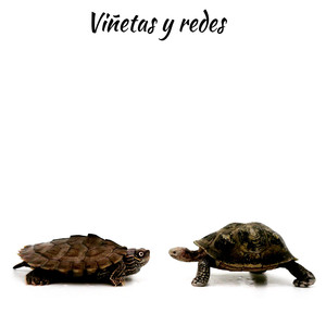 Viñetas y Redes