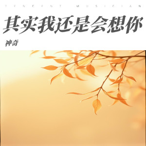 其实我还是会想你
