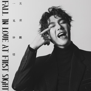 一见钟情Fall In Love At First Sight