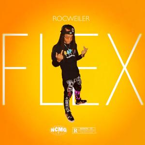 FLEX (Explicit)