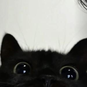 heathers <3 surfcurse cover (Explicit)