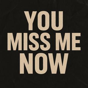 You Miss Me Now