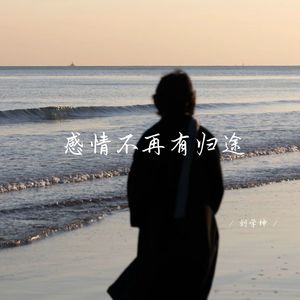 感情不再有归途 (释怀女生版)