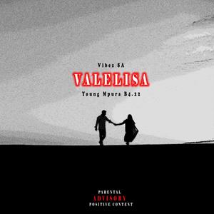 Valelisa (feat. Vibez SA)