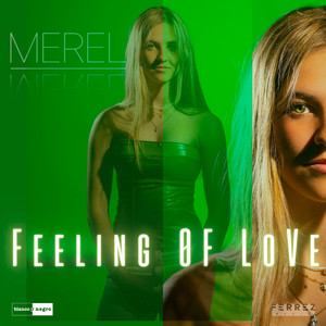 Feeling Of Love (Explicit)