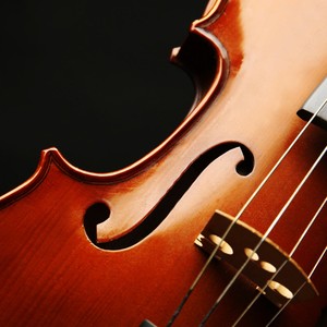 Gentle Notes for Dog Ears