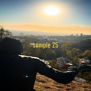 Sample 25 (Explicit)