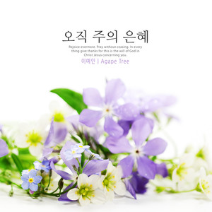 오직 주의 은혜 (Only grace of the Lord)