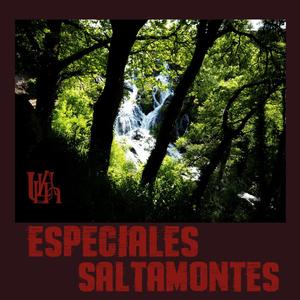 ESPECIALES SALTAMONTES