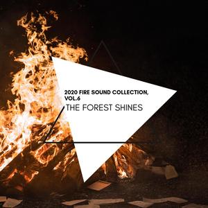 The Forest Shines - 2020 Fire Sound Collection, Vol.6