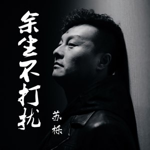 余生不打扰 (DJ何鹏版)