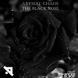 The Black Rose (Original Mix)