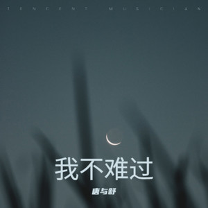我不难过 - 唐与舒封面