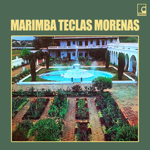 Marimba Teclas Morenas