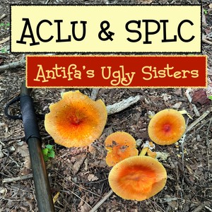 ACLU & SPLC Antifa’s Ugly Sisters