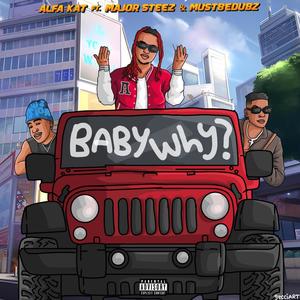 Baby Why? (feat. Majorsteez & Mustbedubz) (Explicit)