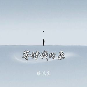 陈沉尘 - 等待我回来