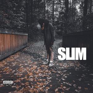 Slim (Explicit)
