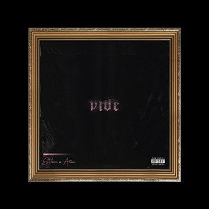 Vide (Explicit)