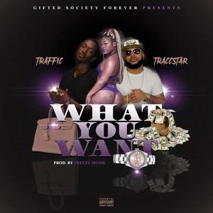 What You Want (feat. Traccstar) (Explicit)