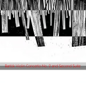 Violin Concerto No. 2 in B Major, SZ. 112 - I. Allegro non troppo