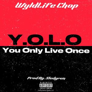 Y.O.L.O. (You Only Live Once|Explicit)