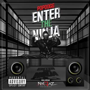 Enter The Ninja (Explicit)