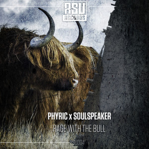Rage With The Bull (Original Mix)