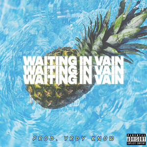 Waiting In Vain (Explicit)