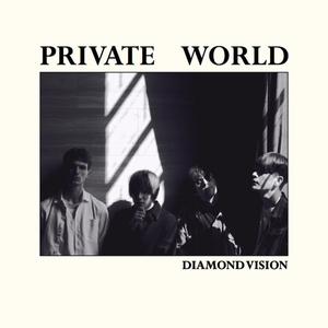 Diamond Vision