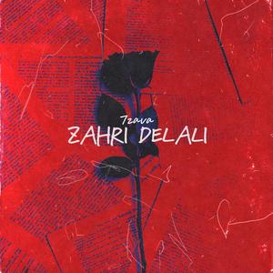 Zahri Delali (Explicit)
