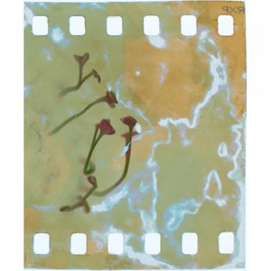 Darkness Approaching