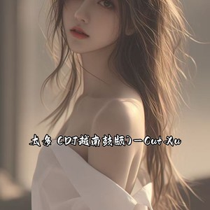 太多 (DJ越南鼓版)