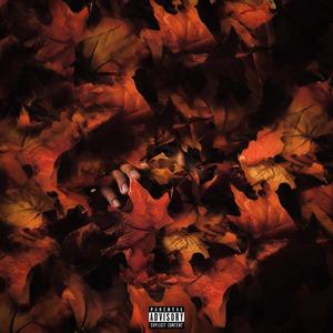 When Leaves Fall (Explicit)