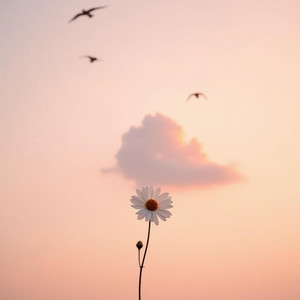 下一个天亮(用简单的言语)