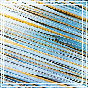 Lost In Translation (feat. Jook The First) (Explicit)