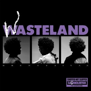 WASTELAND - CHOPPED NOT SLOPPED (Explicit)