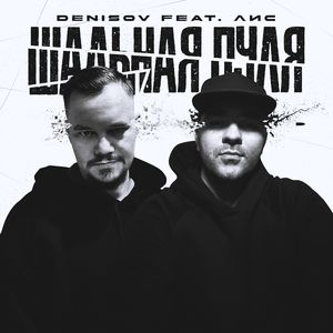 Шальная пуля