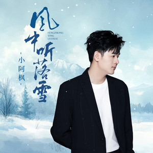 小阿枫-风中听落雪[MP3_LRC]_MP3下载